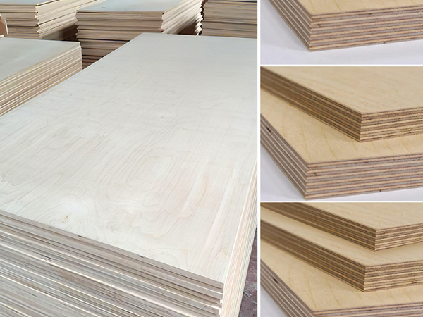 海洋板介绍视频