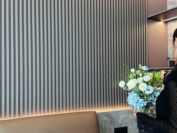 实木格栅应用场景